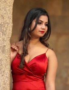 call girl service in Himatnagar